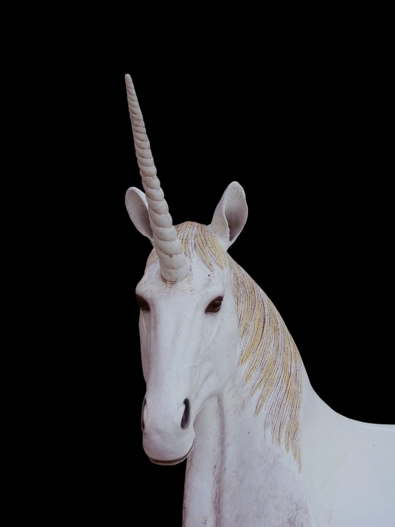 Unicorn in a magical forest